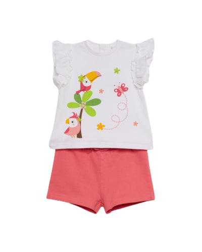 Conjunto Street Monkey 2 piezas: blusa manga mariposa y pantaloneta multicolor para niña