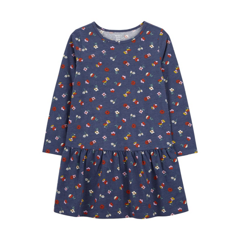 Vestido Carter's manga larga estampado azul