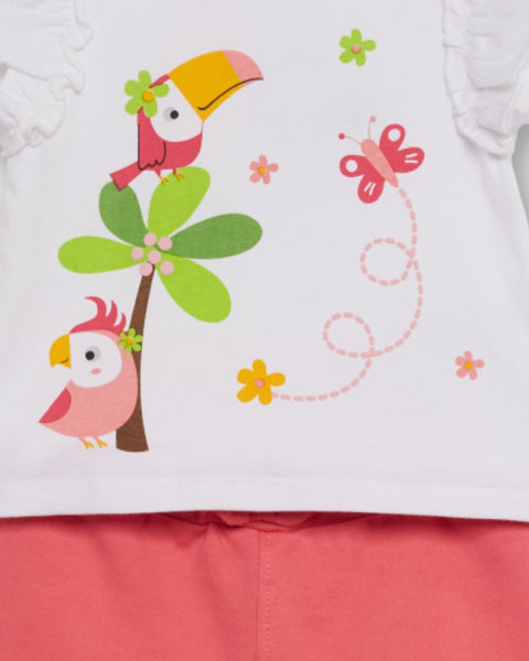 Conjunto Street Monkey 2 piezas: blusa manga mariposa y pantaloneta multicolor para niña - Kinder Guatemala - Conjunto Blusa y pantaloneta