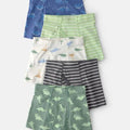 Paquete de 5 Calzoncillos Bóxer Carter's surtido dinosaurio - Kinder Guatemala - Ropa Interior