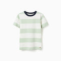 TSHIRT SS JERSEY, VERDE CLARO, 3/4 - Kinder Guatemala -